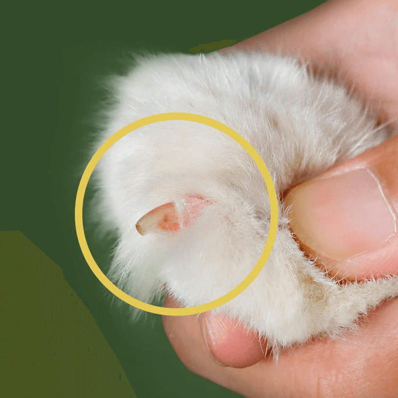 深爪防止 猫用爪切り